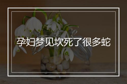 孕妇梦见坎死了很多蛇