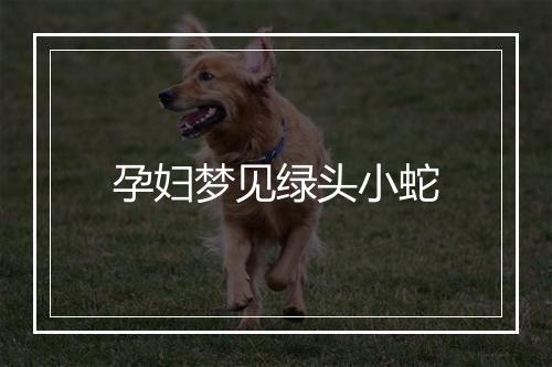 孕妇梦见绿头小蛇