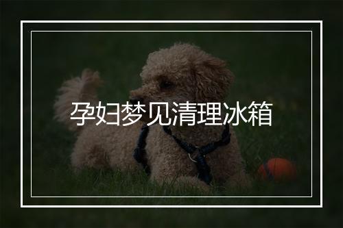 孕妇梦见清理冰箱