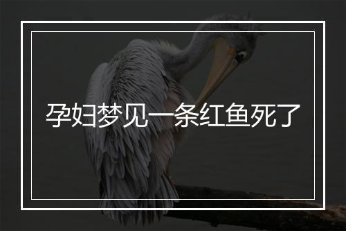 孕妇梦见一条红鱼死了