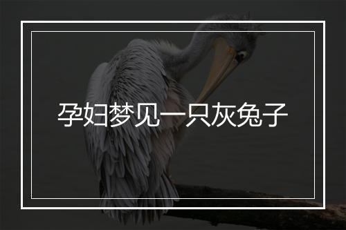 孕妇梦见一只灰兔子