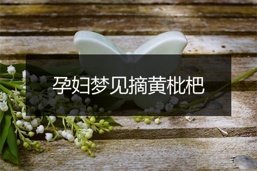 孕妇梦见摘黄枇杷