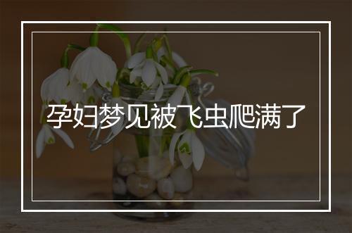 孕妇梦见被飞虫爬满了