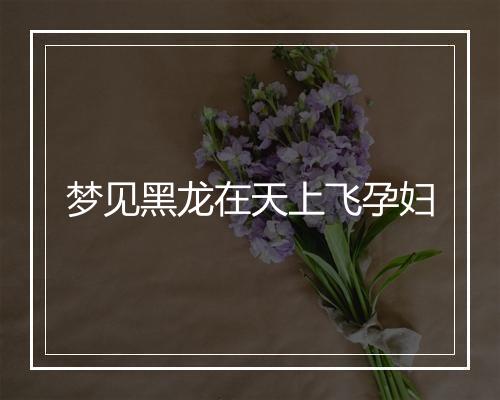 梦见黑龙在天上飞孕妇