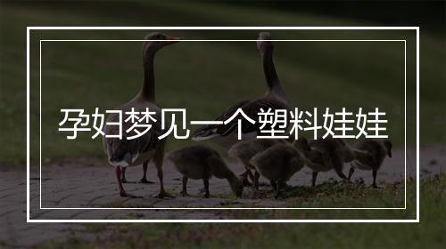 孕妇梦见一个塑料娃娃