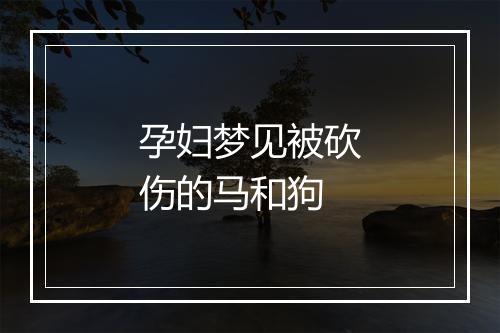 孕妇梦见被砍伤的马和狗