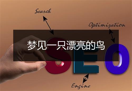 梦见一只漂亮的鸟