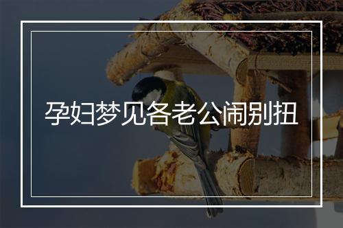 孕妇梦见各老公闹别扭