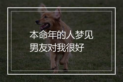 本命年的人梦见男友对我很好