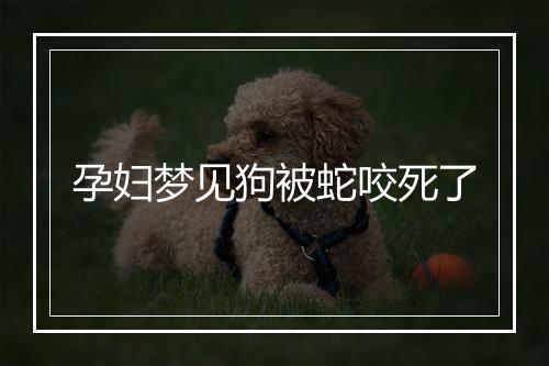 孕妇梦见狗被蛇咬死了