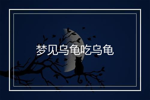 梦见乌龟吃乌龟