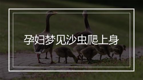 孕妇梦见沙虫爬上身