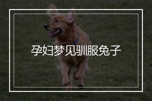 孕妇梦见驯服兔子