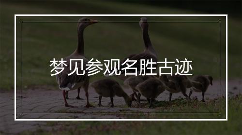 梦见参观名胜古迹