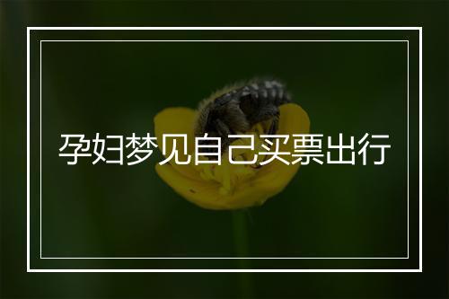 孕妇梦见自己买票出行