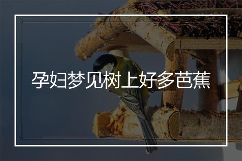 孕妇梦见树上好多芭蕉