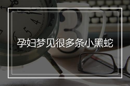 孕妇梦见很多条小黑蛇