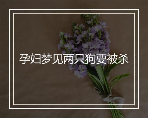 孕妇梦见两只狗要被杀