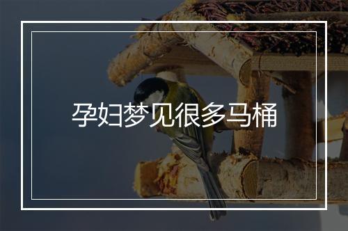 孕妇梦见很多马桶