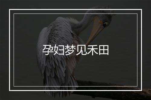 孕妇梦见禾田