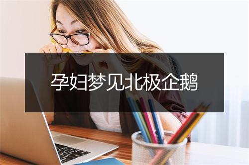 孕妇梦见北极企鹅