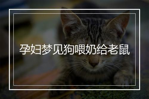 孕妇梦见狗喂奶给老鼠