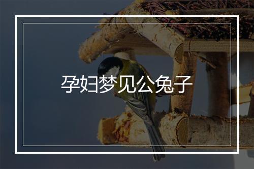 孕妇梦见公兔子