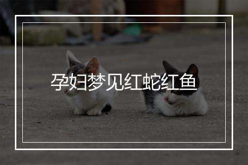 孕妇梦见红蛇红鱼