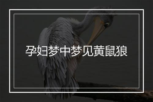 孕妇梦中梦见黄鼠狼