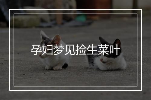 孕妇梦见捡生菜叶