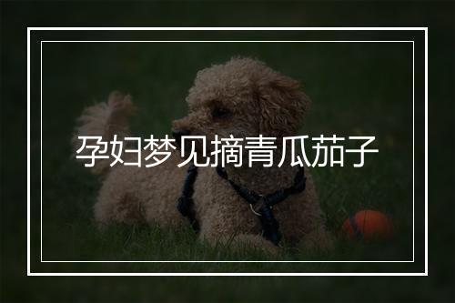 孕妇梦见摘青瓜茄子