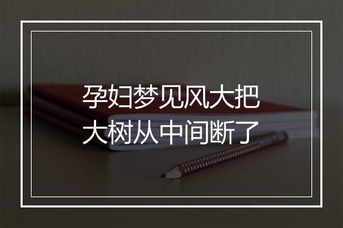 孕妇梦见风大把大树从中间断了