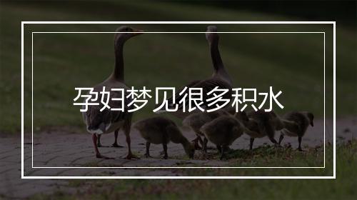 孕妇梦见很多积水