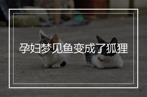 孕妇梦见鱼变成了狐狸