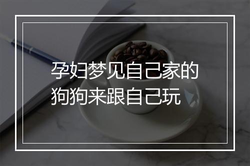 孕妇梦见自己家的狗狗来跟自己玩