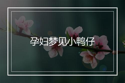 孕妇梦见小鸭仔