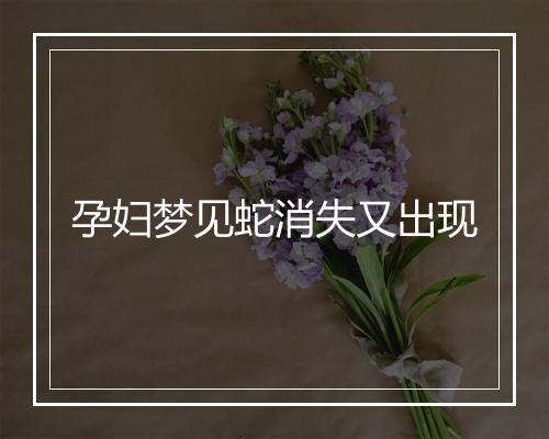 孕妇梦见蛇消失又出现