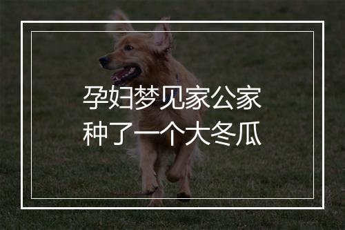 孕妇梦见家公家种了一个大冬瓜