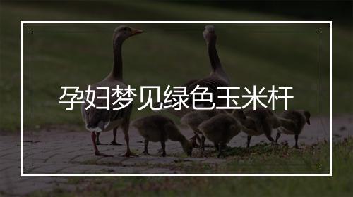 孕妇梦见绿色玉米杆