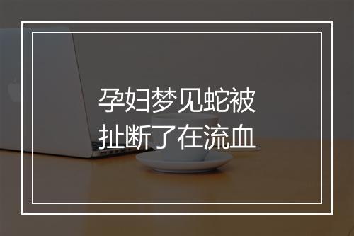 孕妇梦见蛇被扯断了在流血