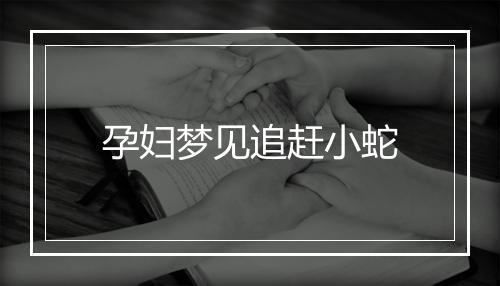 孕妇梦见追赶小蛇