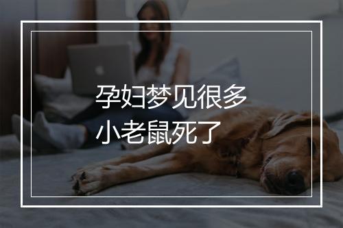 孕妇梦见很多小老鼠死了