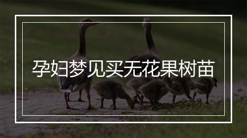 孕妇梦见买无花果树苗