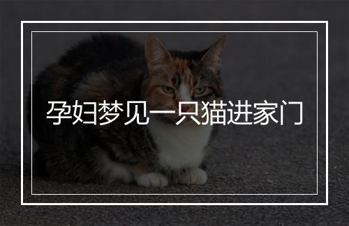 孕妇梦见一只猫进家门