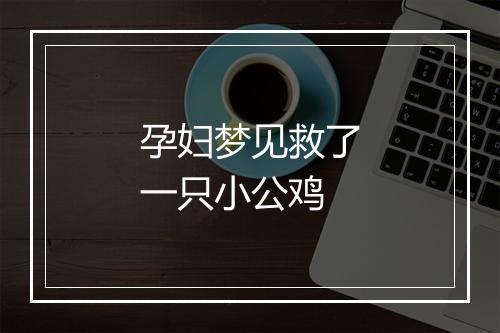 孕妇梦见救了一只小公鸡