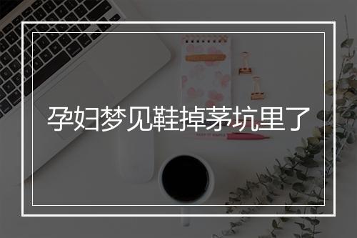 孕妇梦见鞋掉茅坑里了