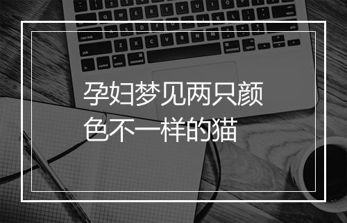 孕妇梦见两只颜色不一样的猫