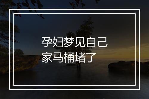 孕妇梦见自己家马桶堵了