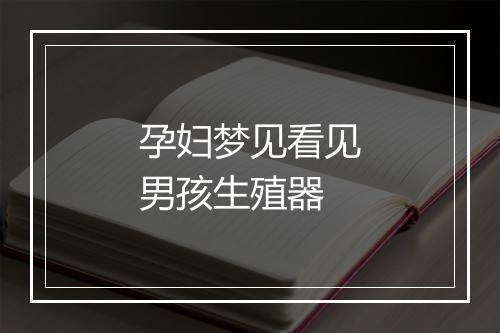 孕妇梦见看见男孩生殖器