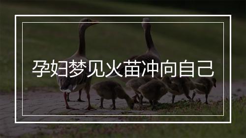 孕妇梦见火苗冲向自己